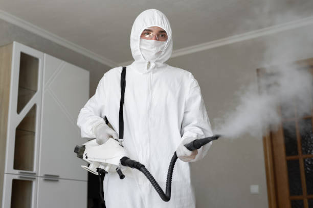 Why You Should Choose Our Mold Remediation Services in Bonny Doon, CA